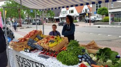 11428011_973600796005164_3220204188015130621_n